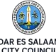 Dar es Salaam City Council